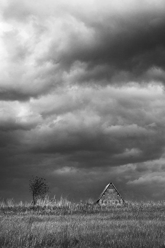 Черное и белое фото превью