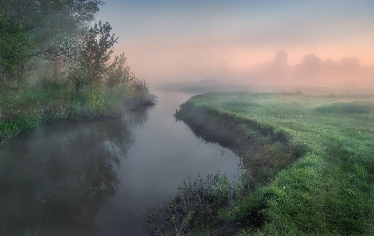 утро, туман, река, роса, рассвет, Александр Киценко