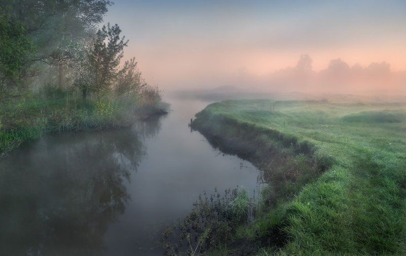 утро, туман, река, роса, рассвет Утро на реке фото превью