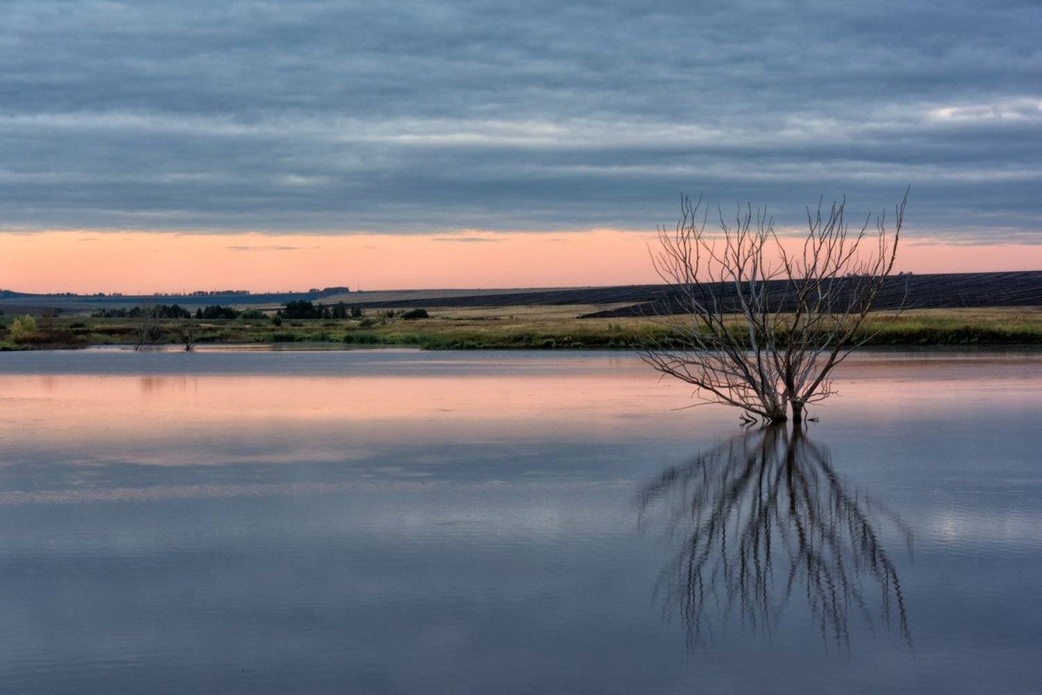 , Влад Шерман