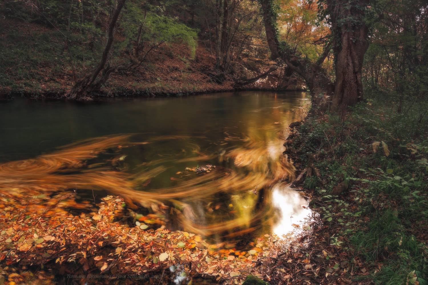 крым, севастопоь, чёрнаяречка, crimea, landscape, Щепотина Татьяна