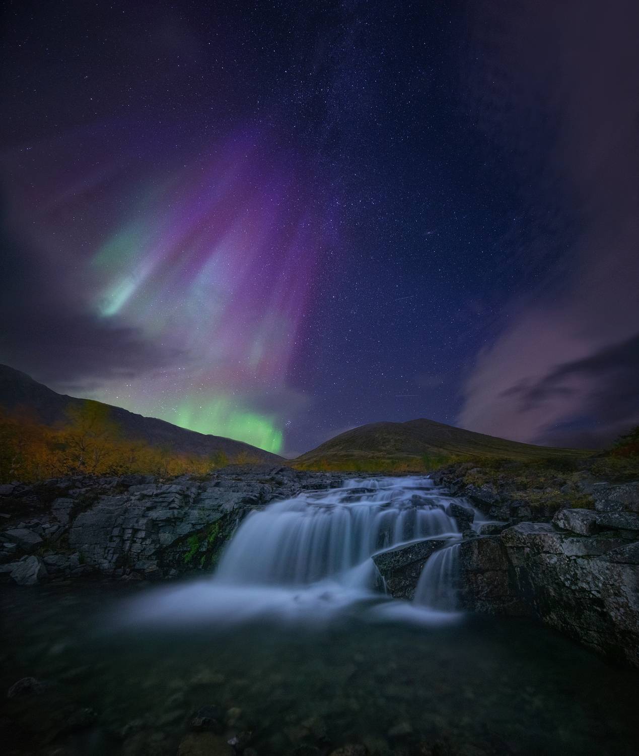 , Елена Ермолина