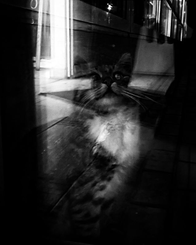 ***  фото превью