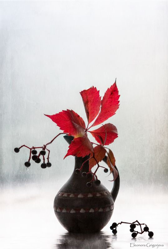 Осенний дождь фото превью