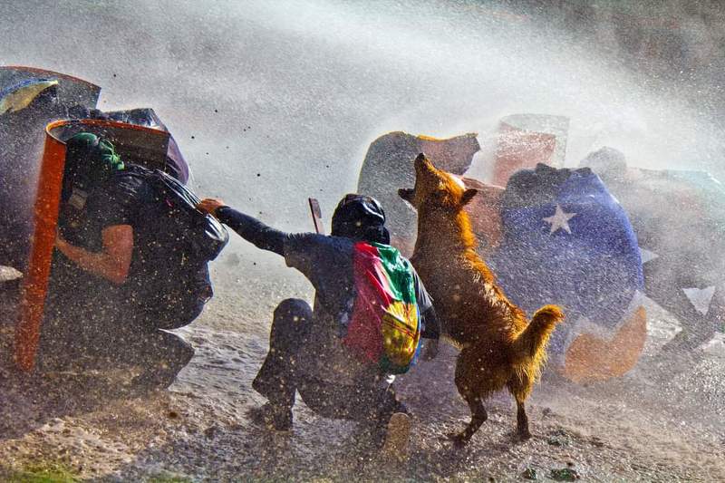 rucio capucha, revuelta social, periodista furioso, periodistafurioso, bastian cifuentes araya, bastián cifuentes araya, estallido social, protestas, fotografía de reportaje, reportage, sociodocumental, portraits, reportage spotlight, 18 de octubre, octub RUCIO CAPUCHA фото превью