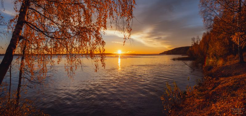 волга, верхняя волга, золотая осень, юрьевецкий район, юрьевец, ивановская область, береза, осень, рассвет, восход, осенний пейзаж, панорама \