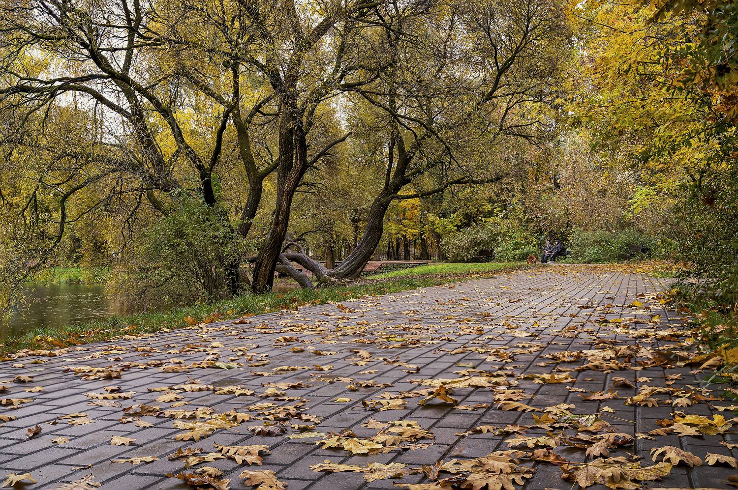 морозовский парк...(кунцевский), Бирюков Вячеслав