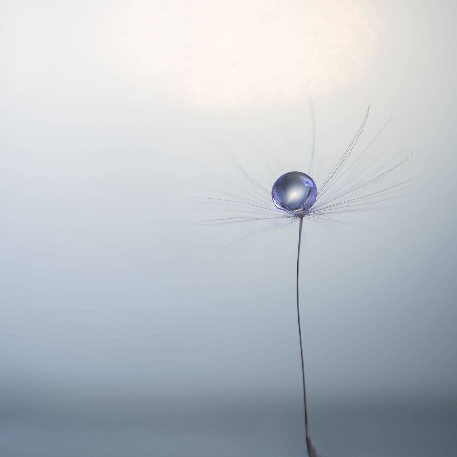 , Мария Александрова