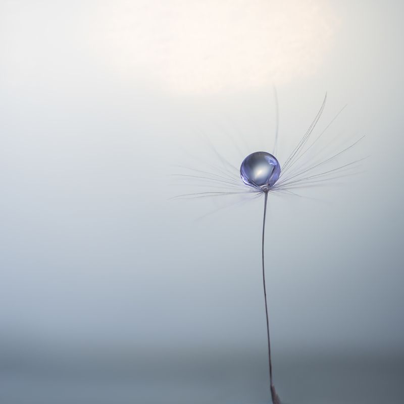 Один фото превью