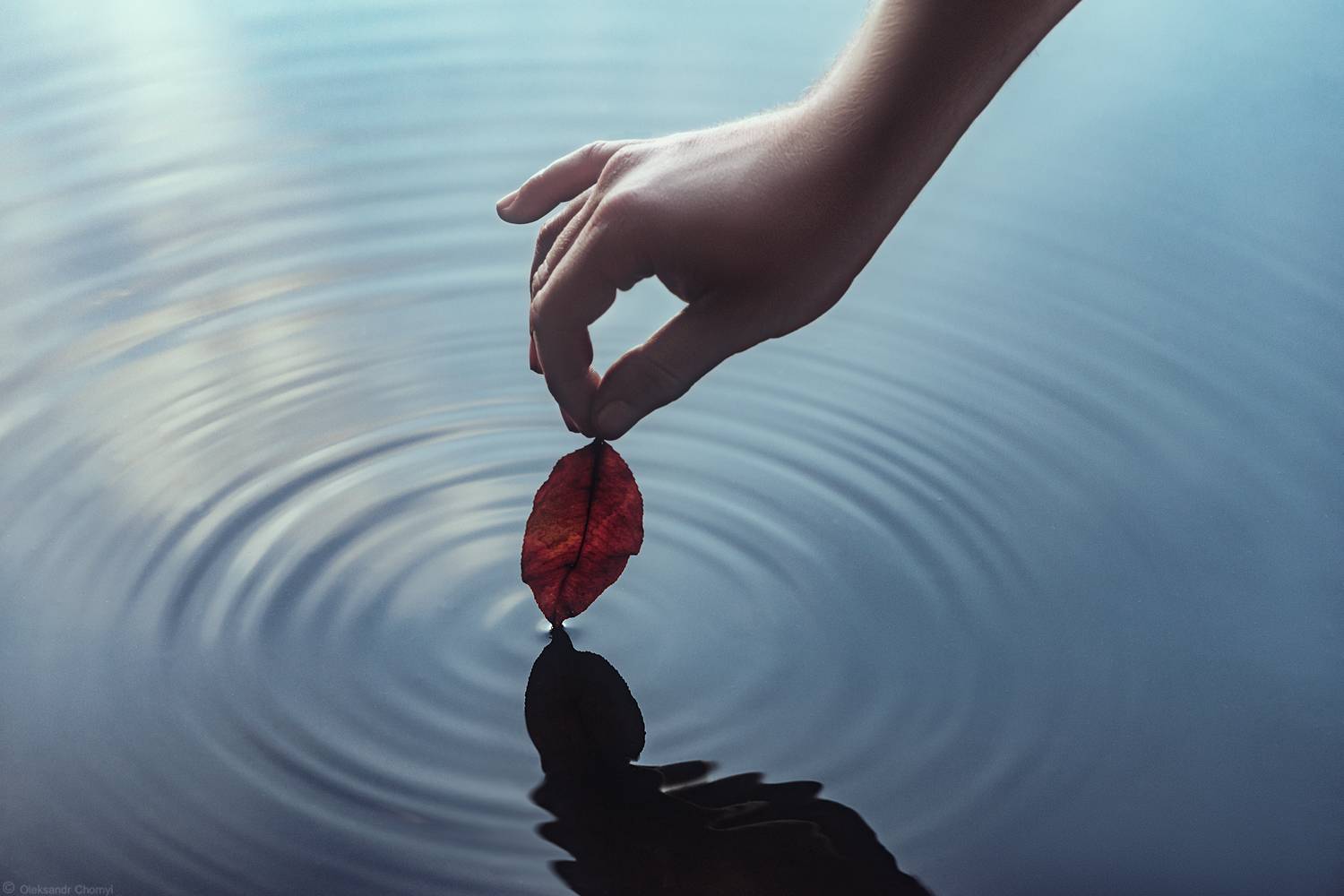 , Чорный Александр