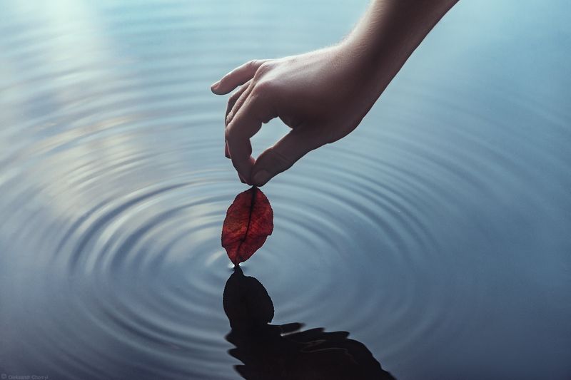 Take Me In... фото превью