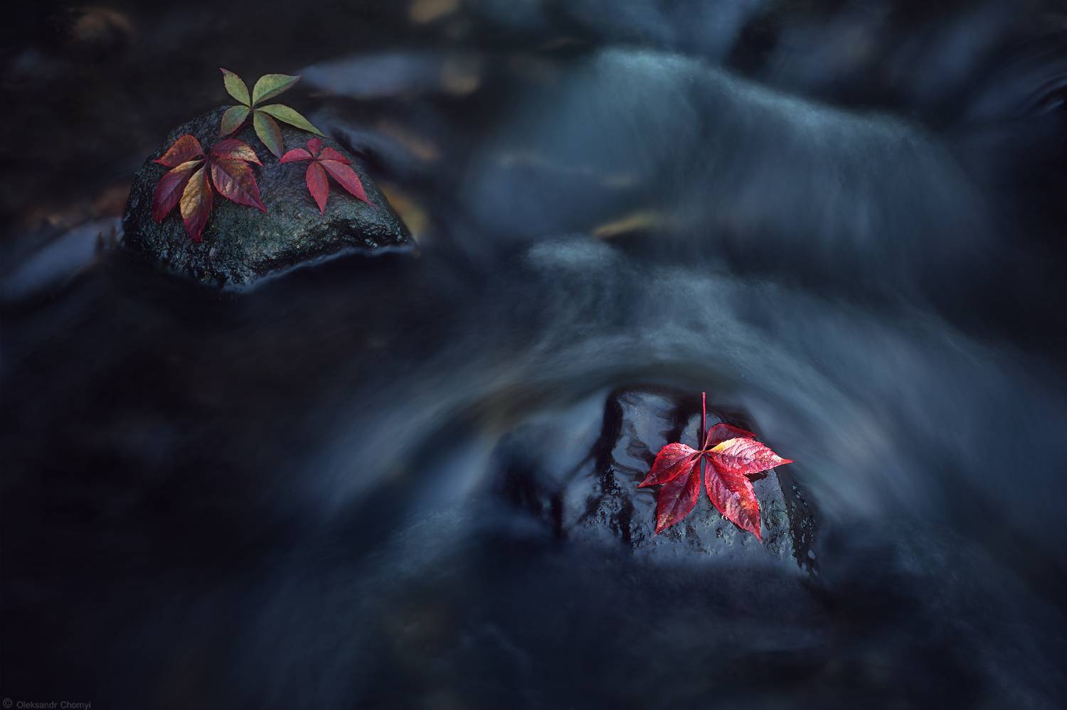 , Чорный Александр