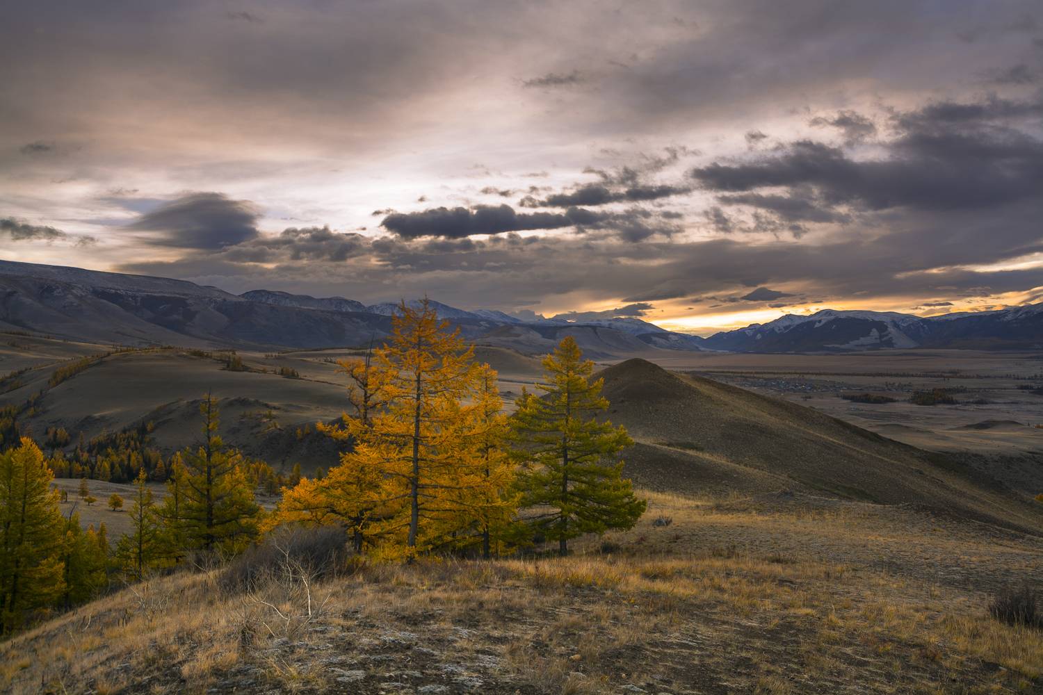 россия, горный алтай,осень, утро, Андрей Поляков