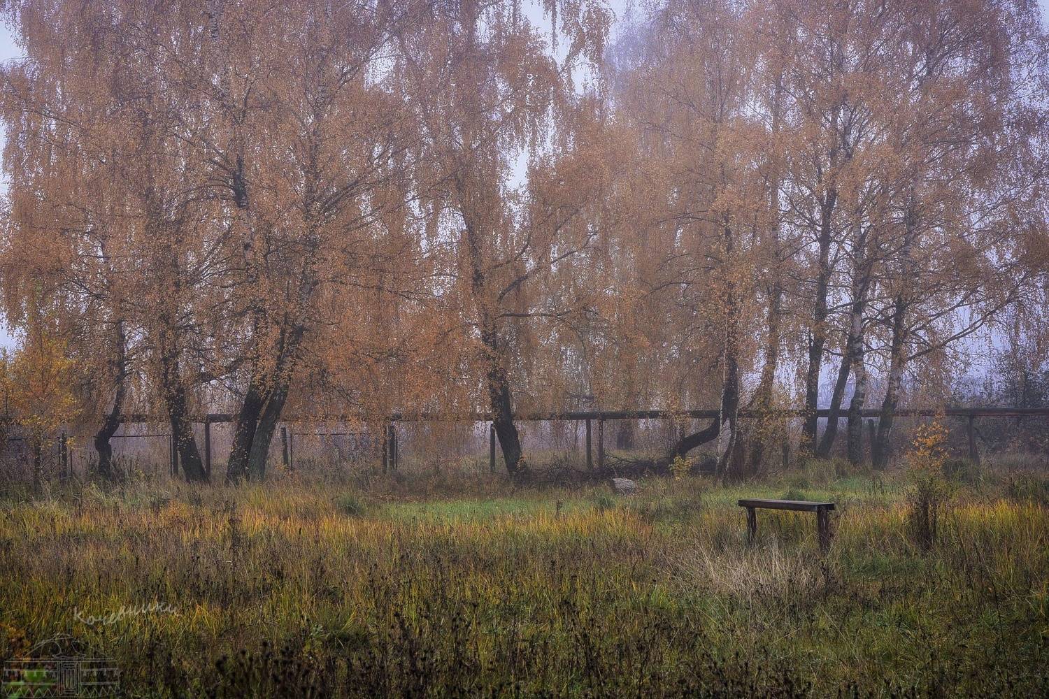 , Юлия Абрамова