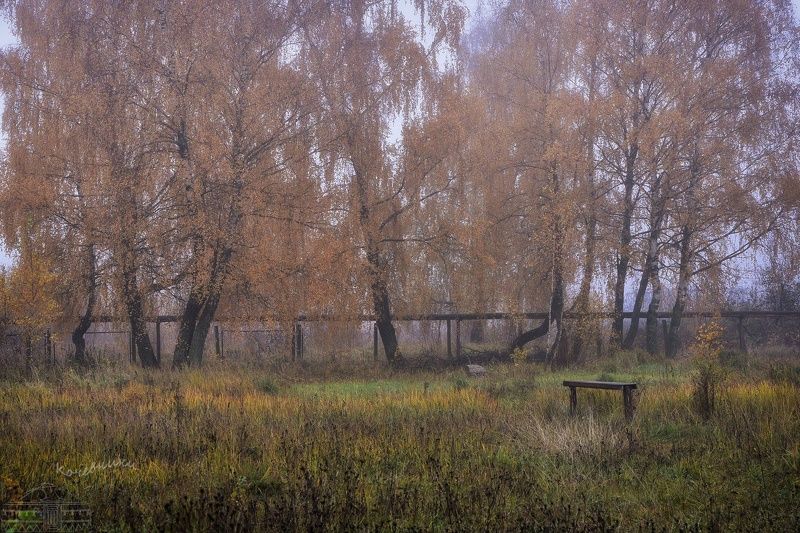 Пустынное фото превью