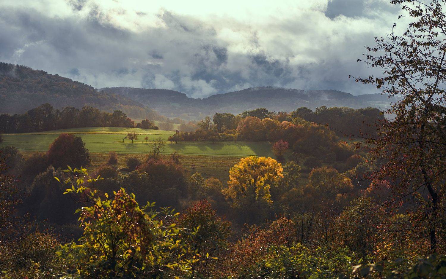 , Руслан Авдевич