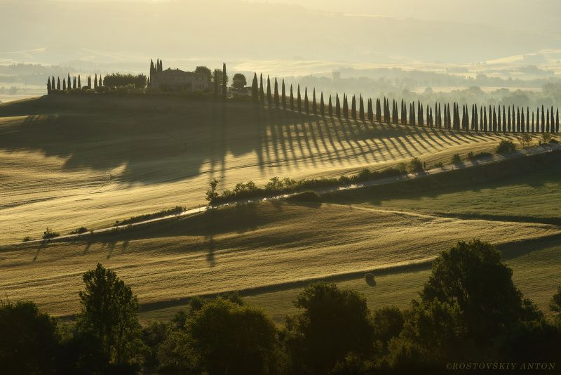 Тоскана, Италия, Туман, утро, кипарисы, фототур Утро фото превью
