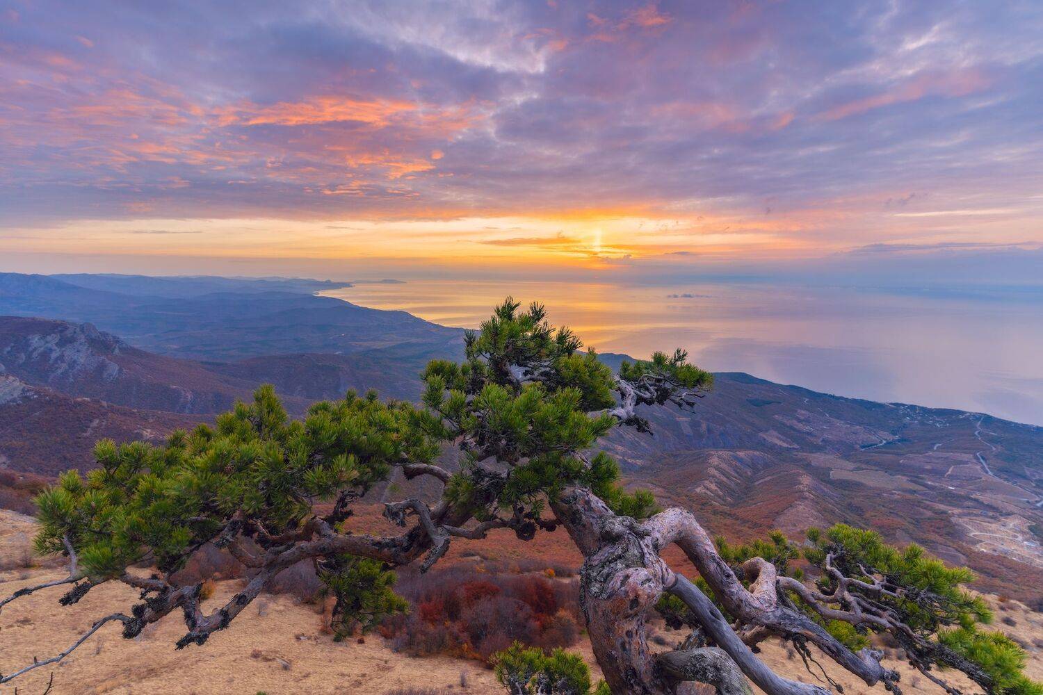 , Юлия Мальцева