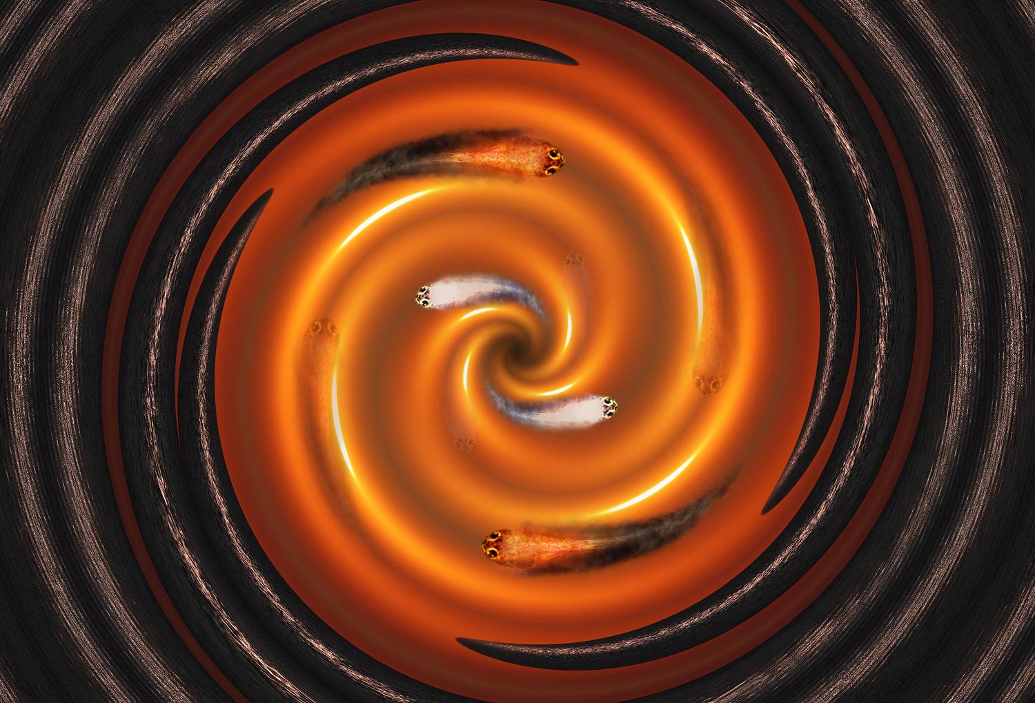 creative, креатив, манипуляция, концепция, цифровое, искусство, digital, art, whirlwind, balance, equilibrium, life, Дмитрий Салтыков