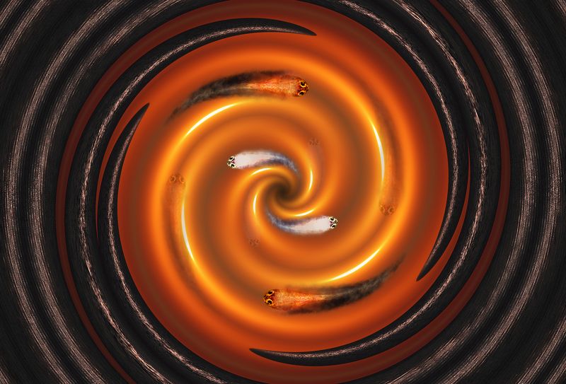 creative, креатив, манипуляция, концепция, цифровое, искусство, digital, art, whirlwind, balance, equilibrium, life Круговерть... фото превью