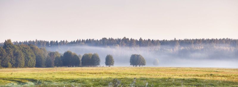 беларусь, неман, осень, панорама, поля, рассвет, сентябрь, туман, утро Уходящий туман фото превью