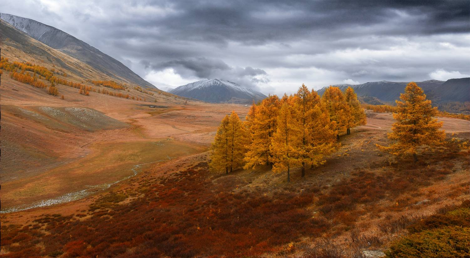 , Светлана Крат