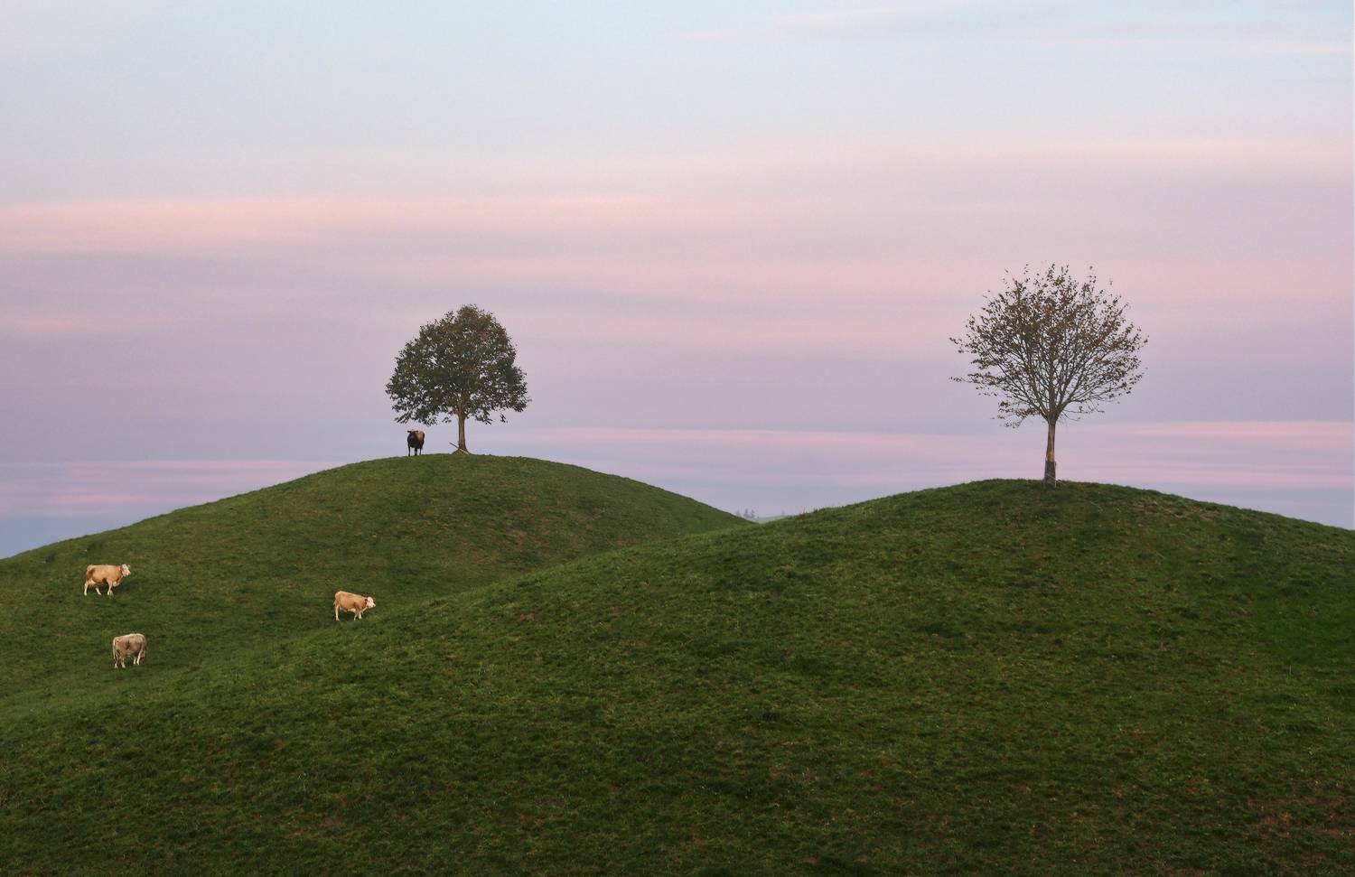 Швейцария, Галина Хвостенко
