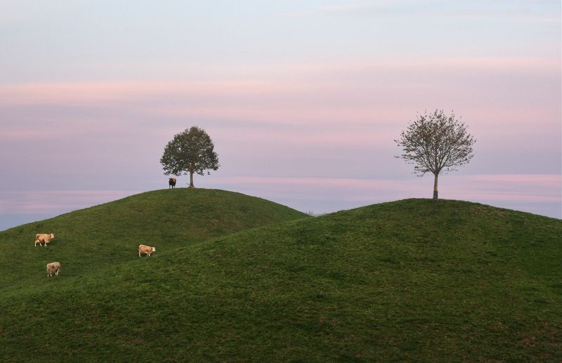 Швейцария *** фото превью