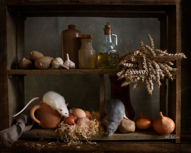 Истории из жизни моих маленьких питомцев фото превью