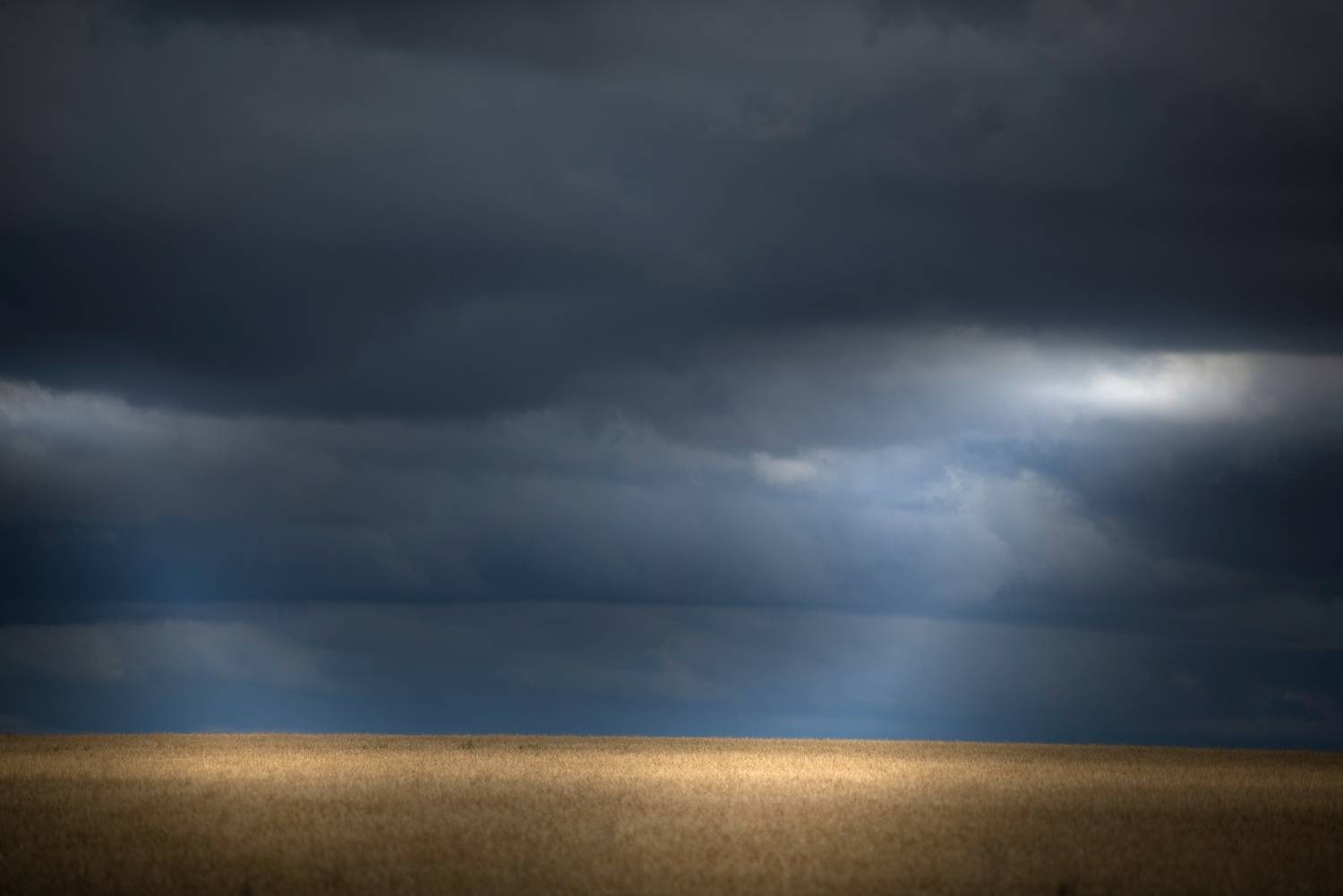 , Антонов Антон