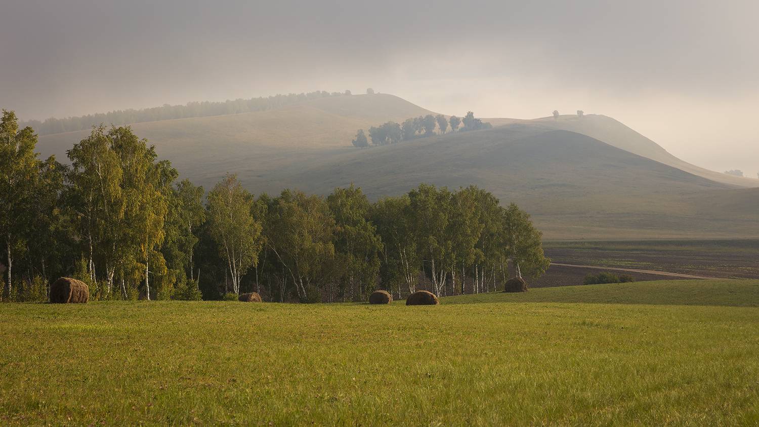 хакасия, россия, пейзаж, утро,, Сергей Шульга