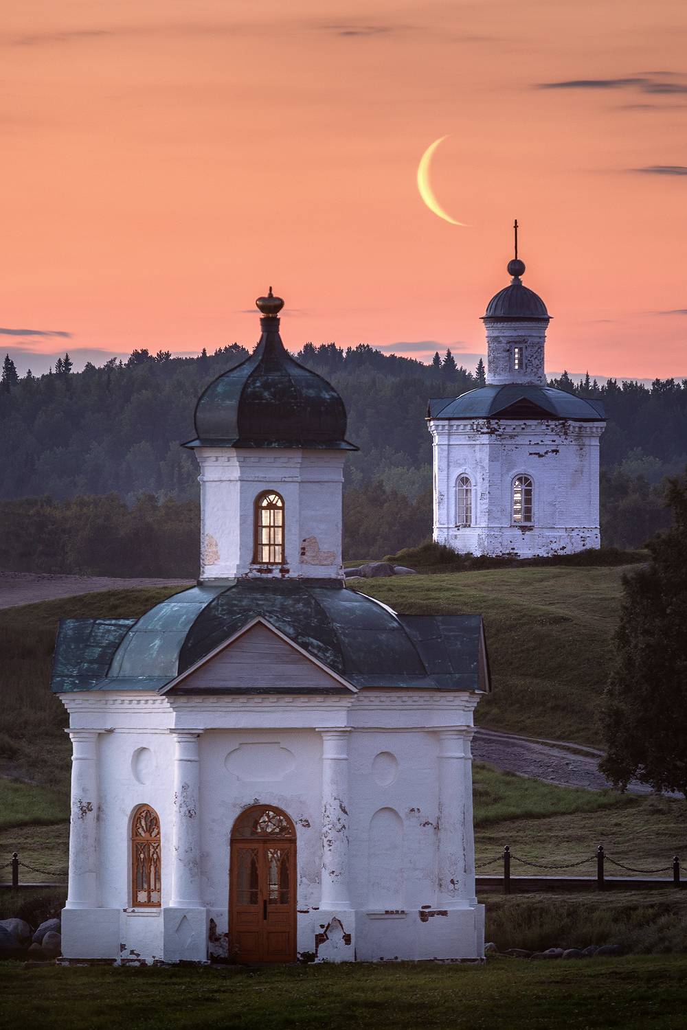 , Дмитрий Купрацевич