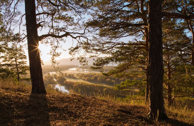 Федоровские луга фото превью