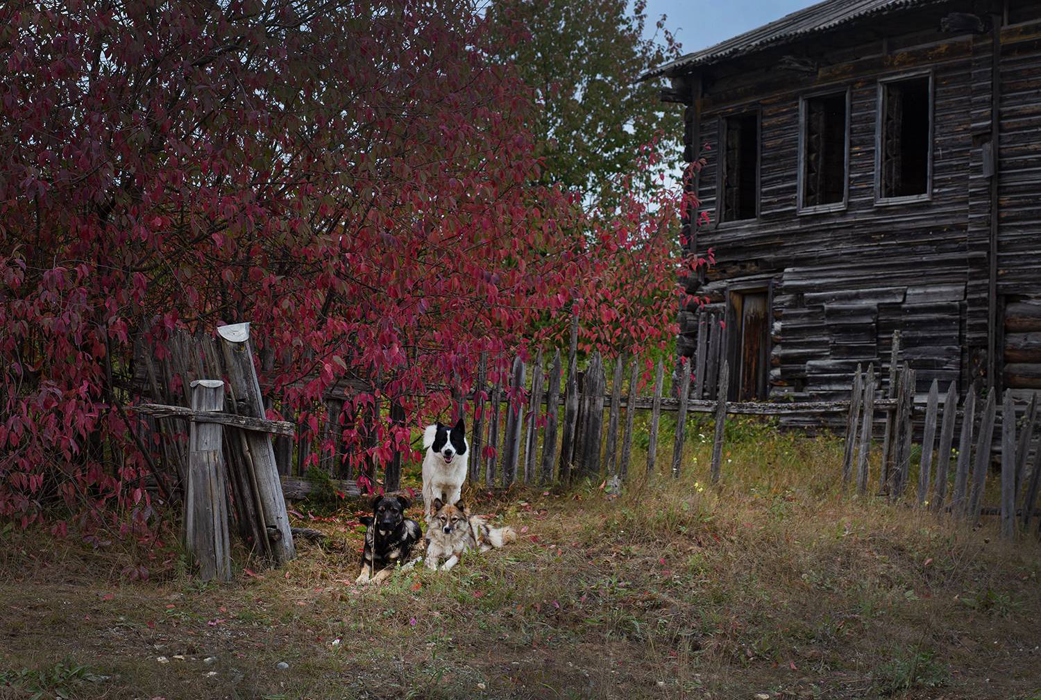 , Наталия Колтакова