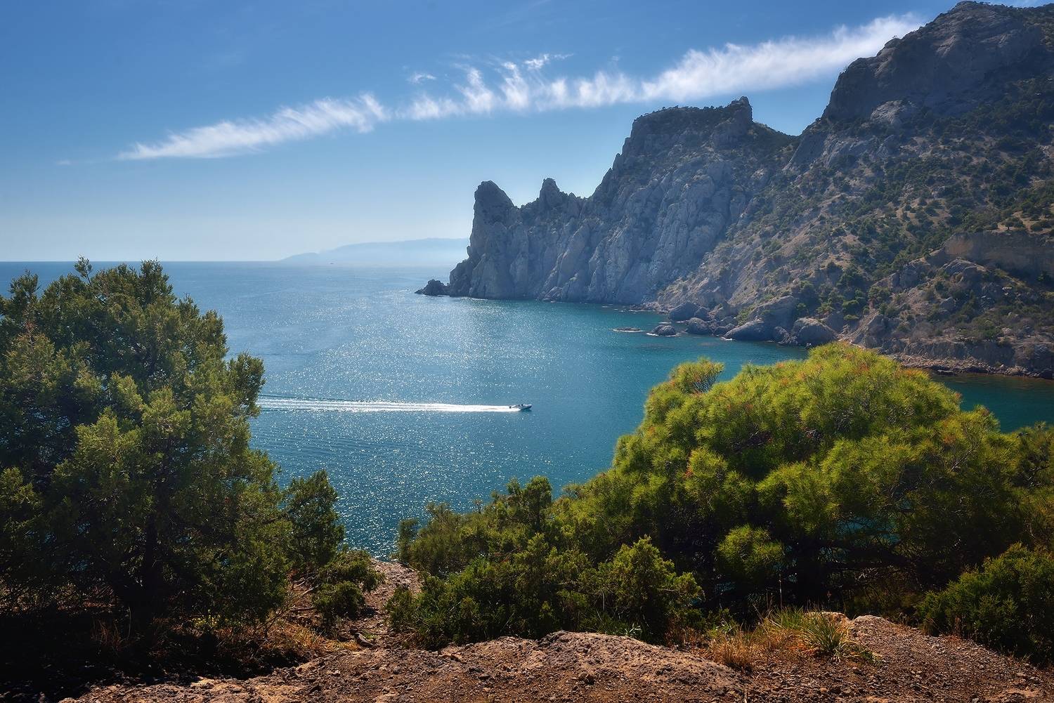 , Алексей Никонов