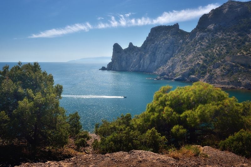 Новый Свет фото превью