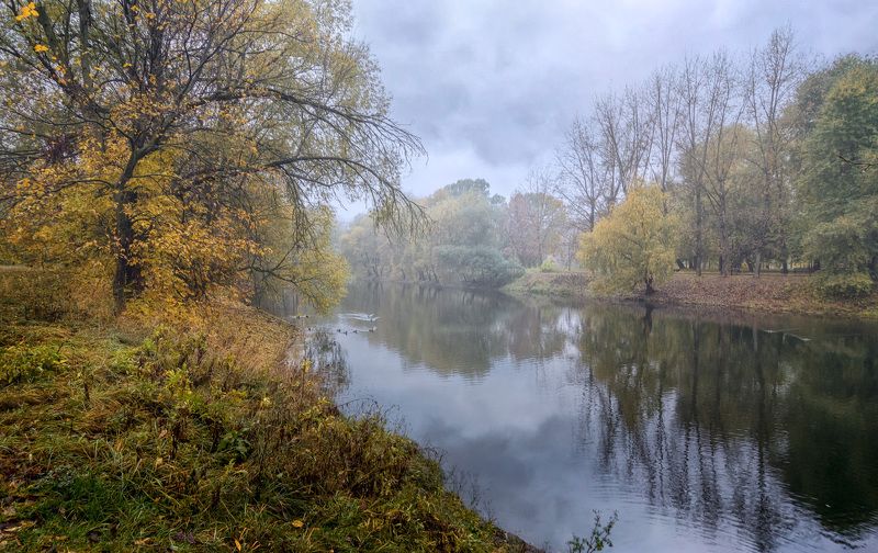 москва, осень, туман Осенний туман фото превью