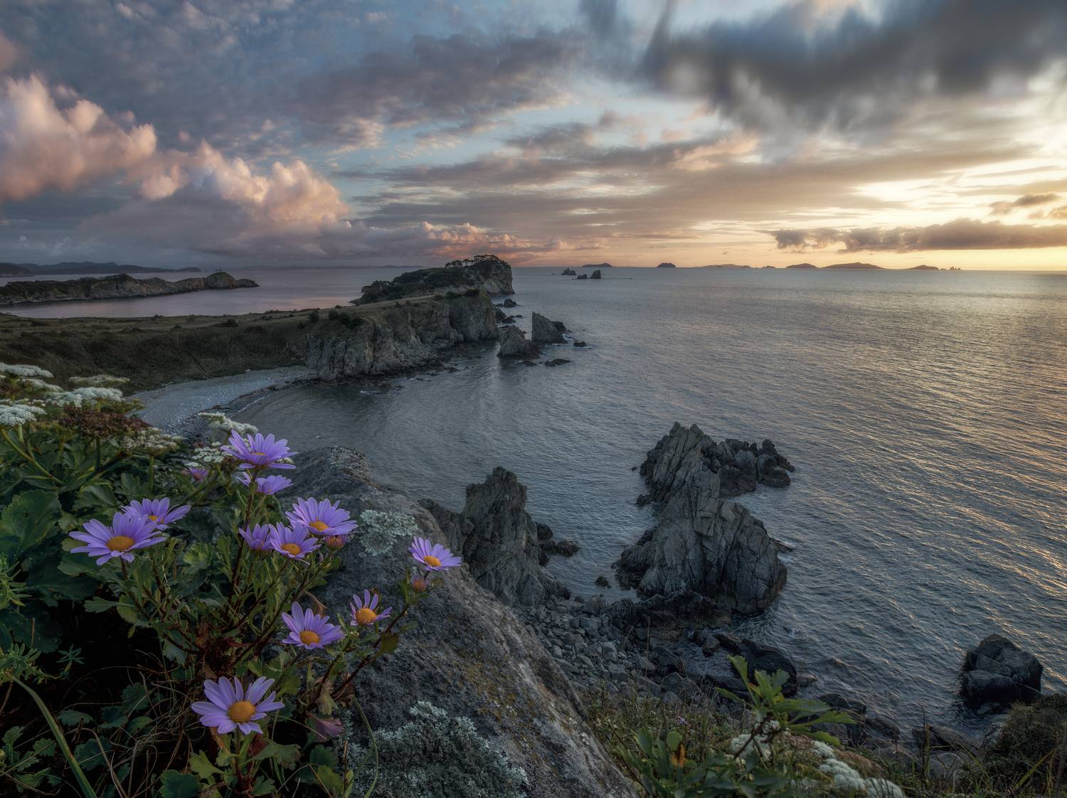 приморский, край, Елена Гусева