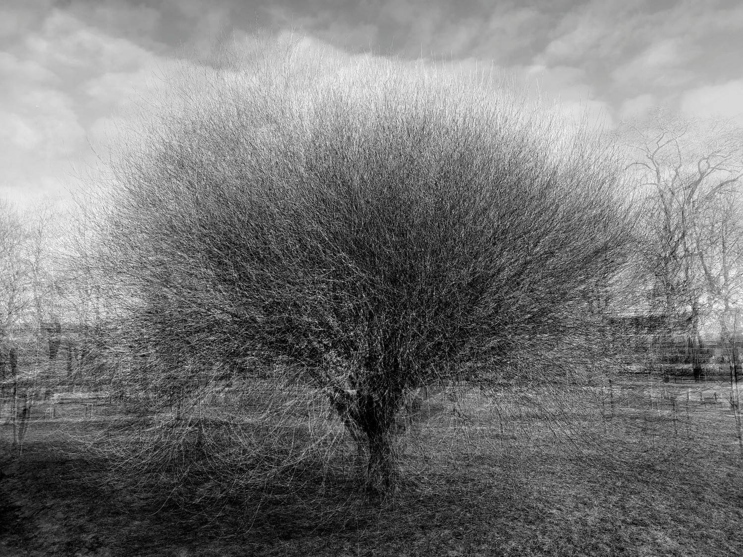 , Антон Лаба