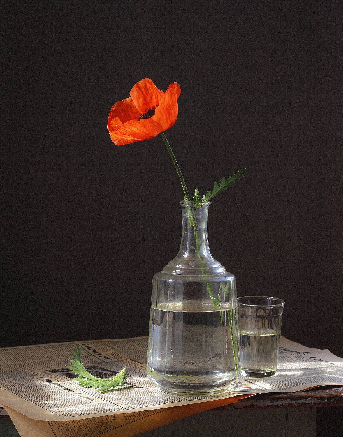 натюрморт, фотонатюрморт, still life, stillifefoto, художественное фото, фотохудожник, наталья  казанцева, графин, цветы, мак, газета, ссср, ретронатюрморт,, Наталья Казанцева