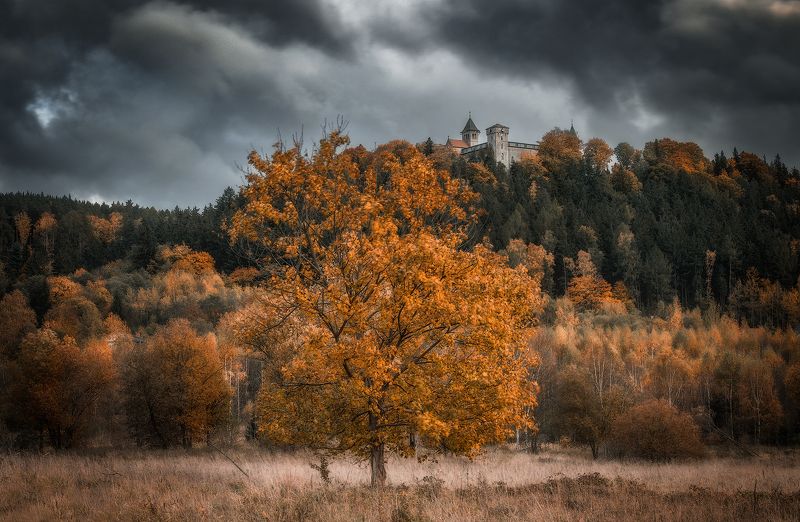 *** фото превью