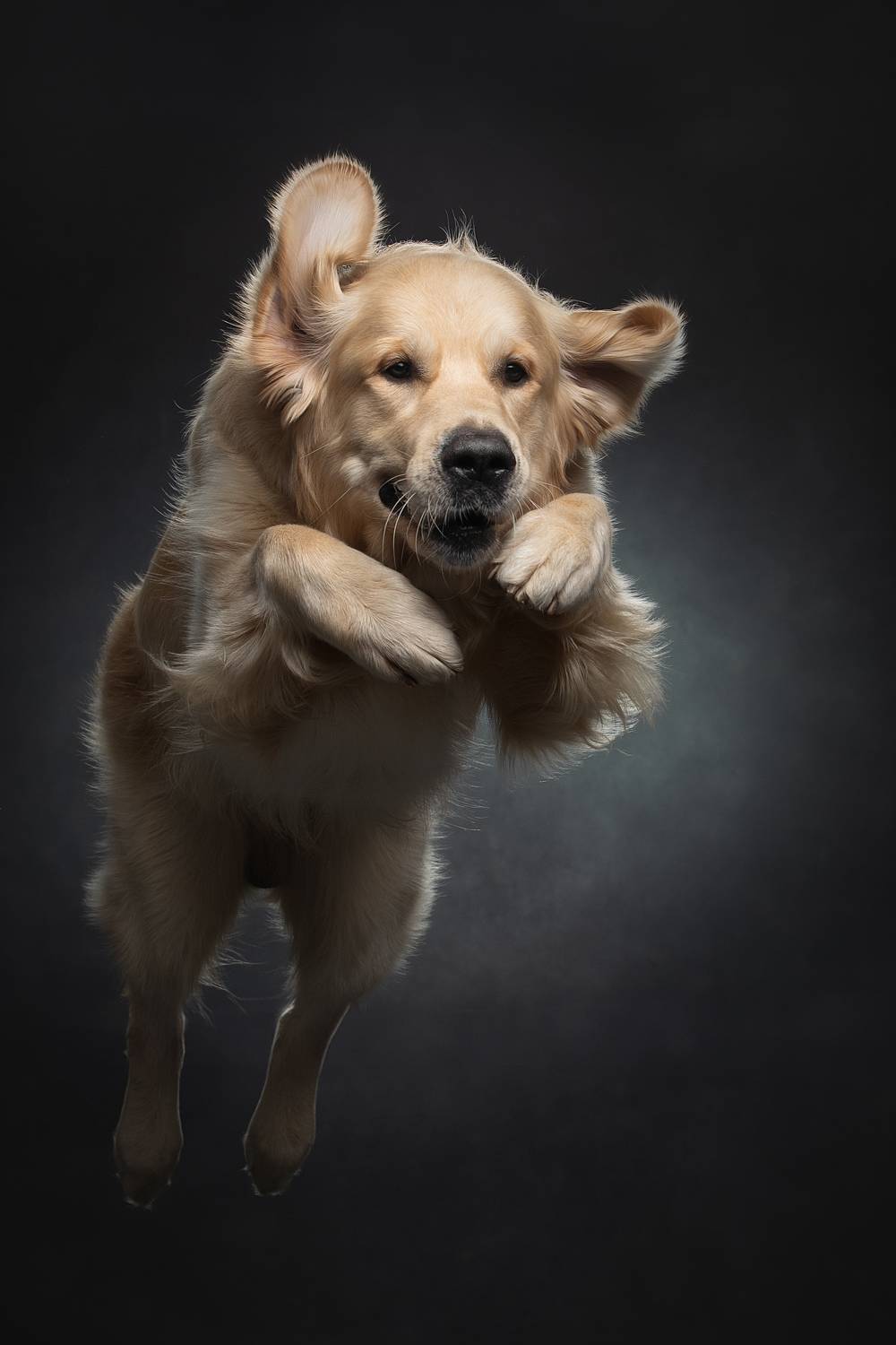 , Светлана Писарева