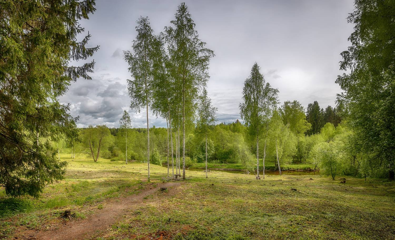 весна, лес, речка, берёзы, Сергей Аникин