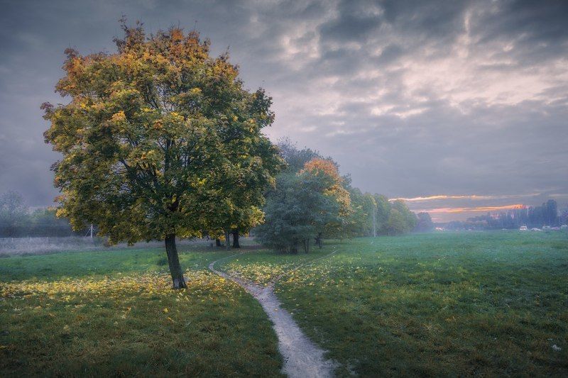 Retkinia фото превью