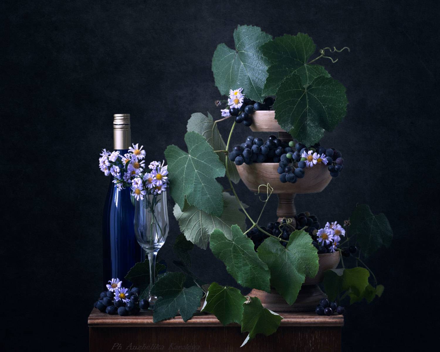 , Анжелика Королева