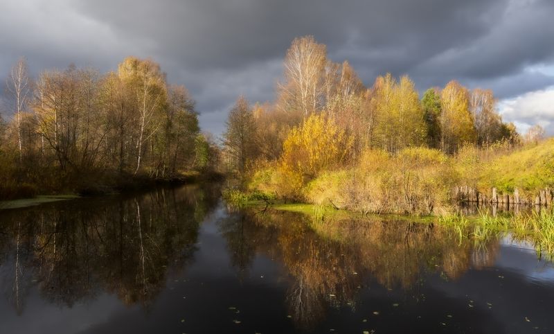 осень река небо деревья Кеза фото превью
