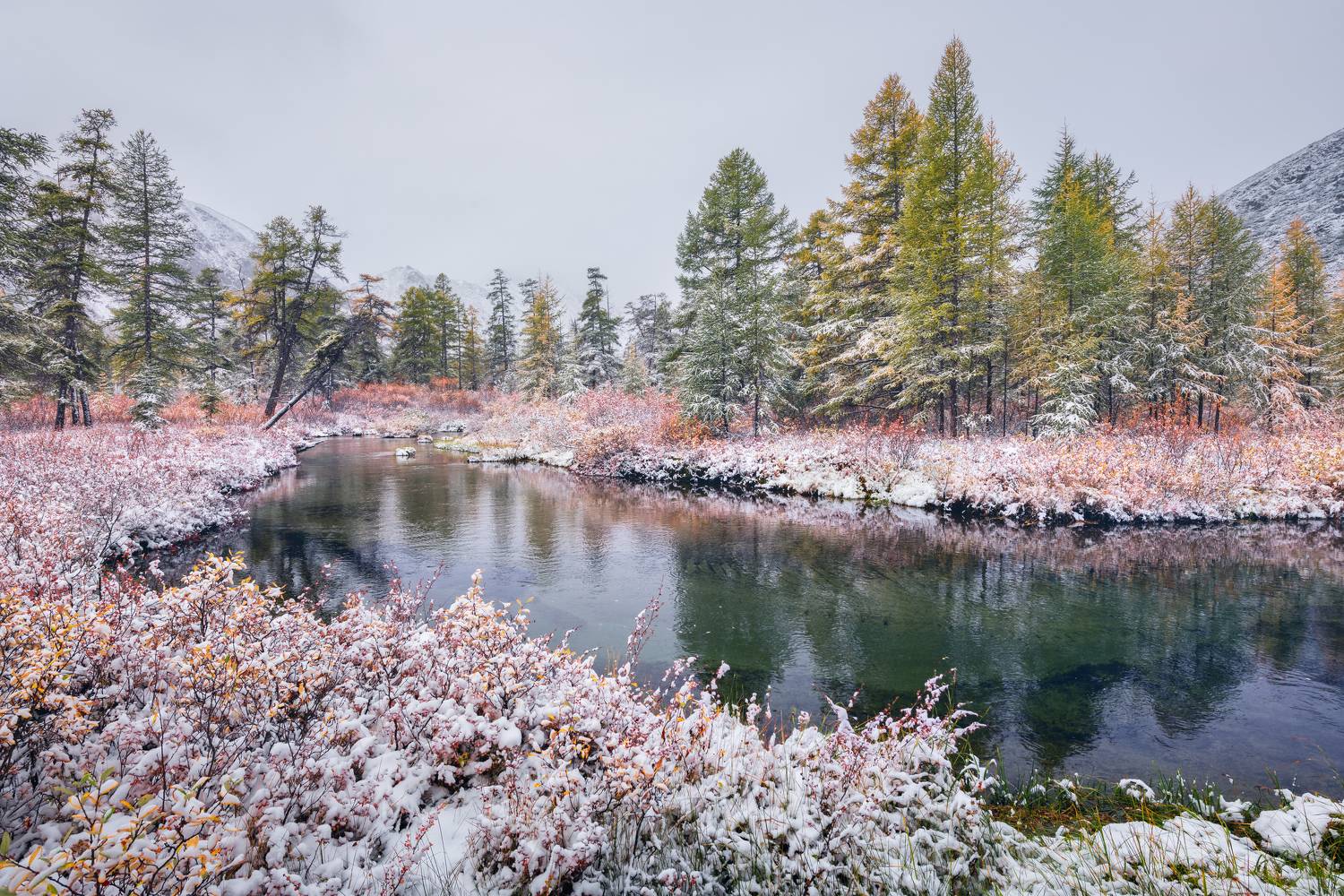 озеро Джека Лондона, Максим Евдокимов
