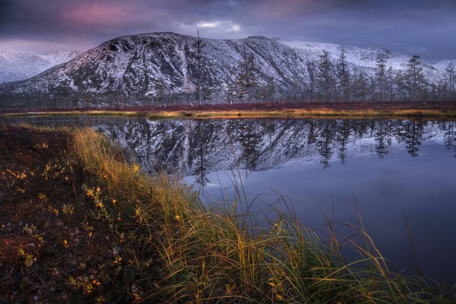 , Владимир Ляпин