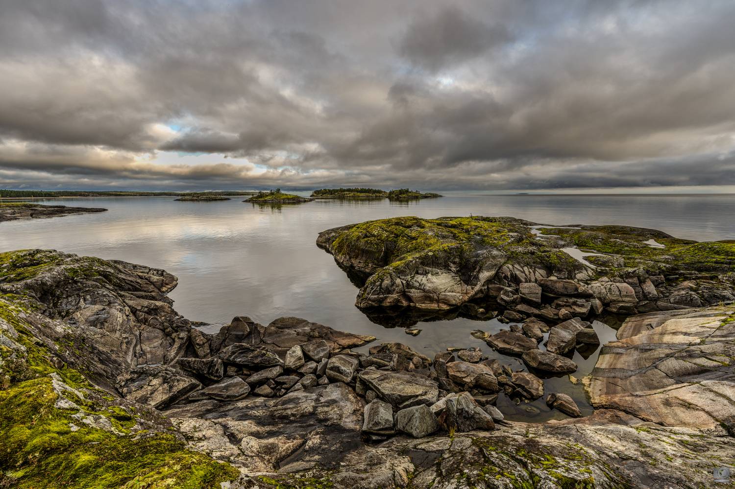 , Ковалев Дмитрий