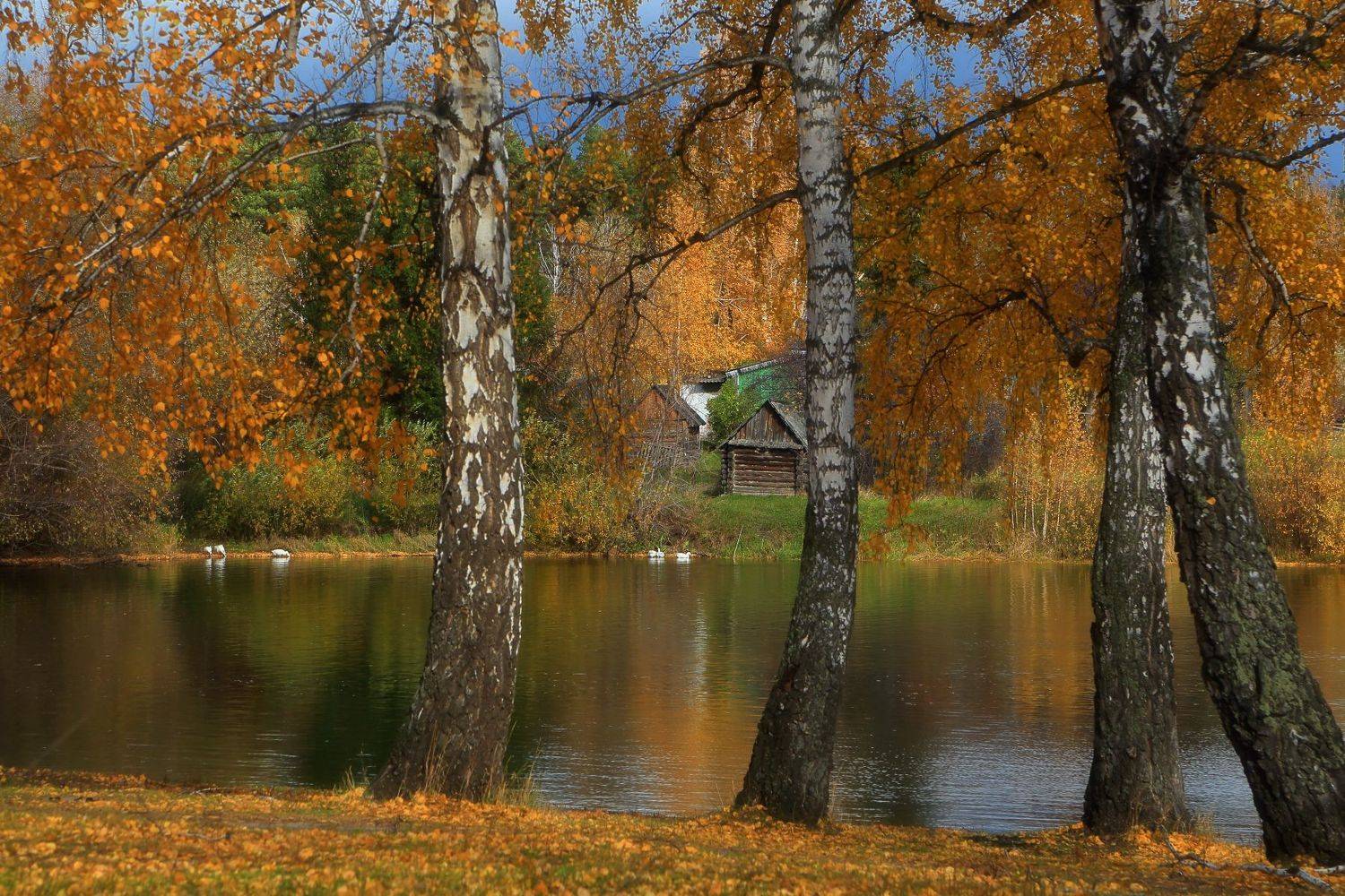 , Евгений Зинов